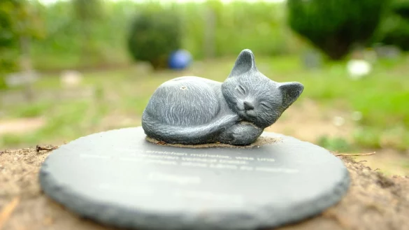 Viele Tiere kann man im Garten beisetzen - &copy; Foto: Markus Hibbeler/dpa-tmn