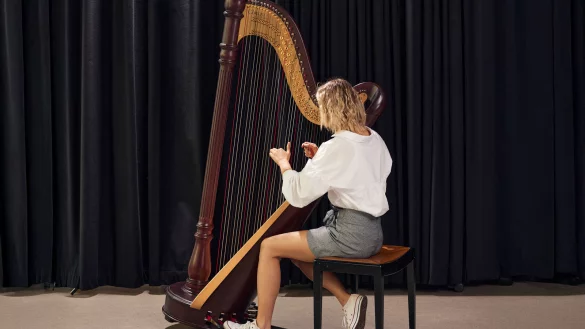Ein Blick in die Orchesterpraxis zeigt, dass mehr M&auml;nner Blechblasinstrumente spielen, w&auml;hrend &uuml;berwiegend Frauen an der Harfe sitzen. - &copy; P. Pollmeier/HSBI