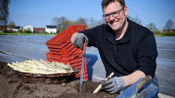 Die Spargelsaison ist eröffnet – auch bei Kai Steinkröger ist das Frühlingsgemüse schon zu kaufen. - © Barbara Franke