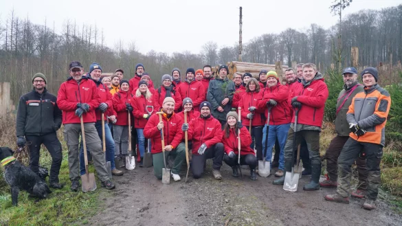 Die Mitarbeiterinnen und Mitarbeiter der Sparkasse Lemgo bei der Pflanzaktion im Stadtwald. - &copy; Sparkasse Lemgo