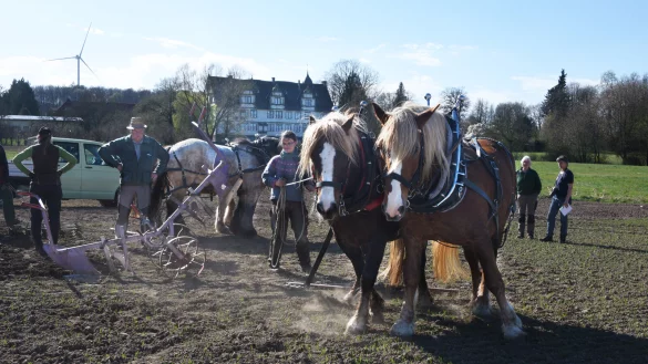 Die Vorbereitungen f&uuml;r PferdeStark laufen bereits. - &copy; Erhard Schroll