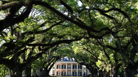 - &copy; Roland Marske