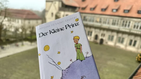 Familien mit Kindern ab fünf Jahren können am Sonntag, 16. Februar, ab 11 Uhr im Weserrenaissance-Museum Schloss Brake die Geschichte vom kleinen Prinzen erleben. - © Weserrenaissance-Museum Schloss Brake
