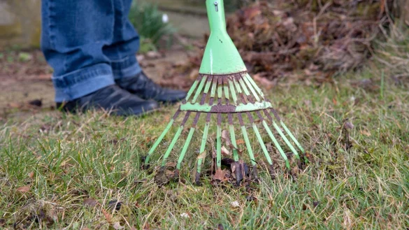 Wohin mit dem Laub? - &copy; Foto: Andrea Warnecke/dpa-tmn