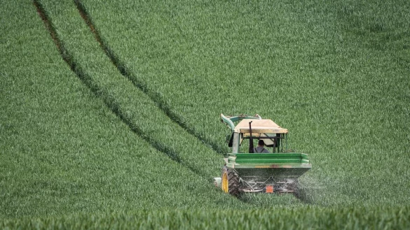 Auf dem Feld - &copy; Foto: Frank Rumpenhorst/dpa