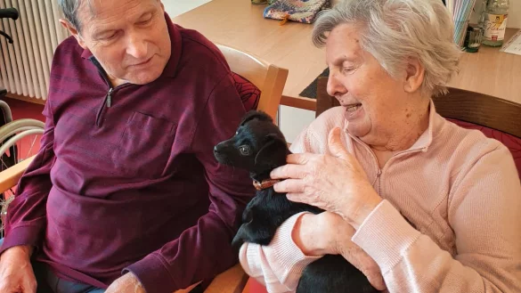 Horst Laux und Elfriede Tappe begr&uuml;&szlig;en den Mischlingswelpen &bdquo;Bubbles". - &copy; Tierheim Detmold