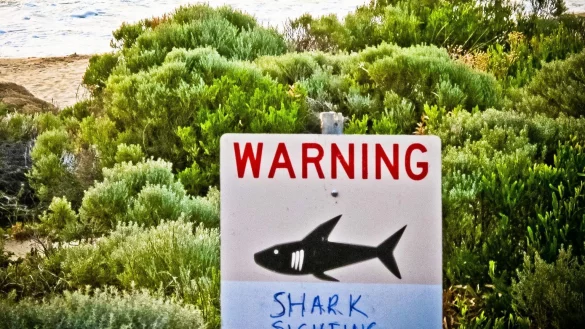 Warnschild - &copy; Foto: Rebecca Le May/AAP/dpa