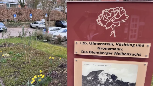 Neue Kampagne will das blumige Erbe Blomberg wieder in den Fokus r&uuml;cken. - &copy; Seda Hagemann