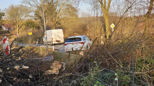An der Ohrser Straße ist bereits kräftig ausgelichtet worden. Der Kreis Lippe will die Straße sanieren. In einem Zug werden der Hochwasserschutz verbessert und auch die Bushaltestellen werden neu geplant. - © Astrid Sewing