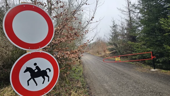 Reiten verboten zeigt das Schild mit der offiziellen Kennung Nr.257-51. Steigen Reiter aber ab und führen ihr Pferd, wäre das erlaubt. Der Kreis Lippe prüft, ob es überhaupt rechtens ist, das Reiten zu verbieten - auch wenn das Stück der Kalkreute ein Privatweg ist. - © Astrid Sewing