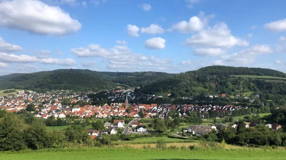 Blick vom Osterberg auf Lügde. Natur und Kulturraum sollen in Lippe gut koexistieren. - © TH OWL
