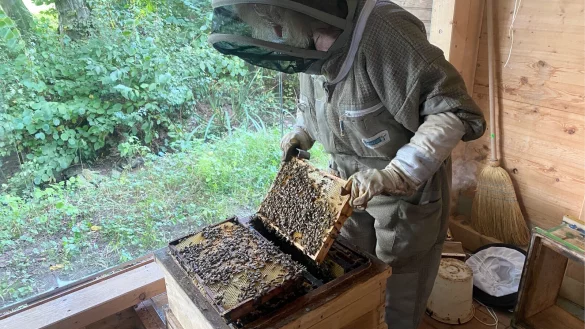 Eine Imkerin schaut sich die Waben an. - © Lippe Tourismus & Marketing GmbH