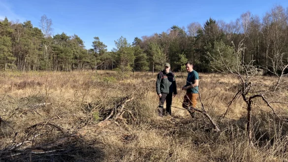 Förster Volker Reihl (links) und Fabian Fester von der Biostation Lippe auf der letzten verbliebenen Moorfläche auf dem Hiddeser Bent. - © Cordula Gröne