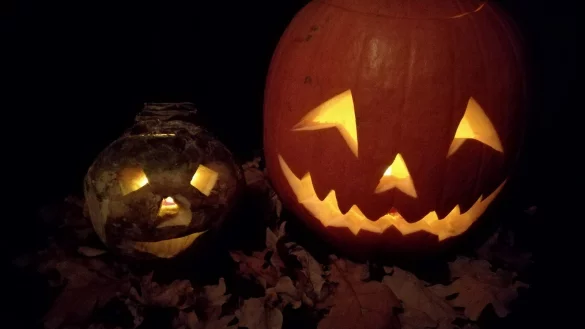 Heute pr&auml;gen Halloweenk&uuml;rbisse die Region zu Beginn der dunklen Jahreszeit. Fr&uuml;her schnitzte man aber R&uuml;ben in den Tagen vorm Martinssingen zu. - &copy; MARK-ANDR&Eacute; STRUNK