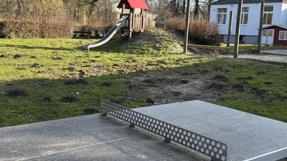 Das Gelände an der Waddenhauser Pfütze gilt als öffentlicher Spielplatz, für den sich die Kinder- und Jugendinitiative eine Aufwertung wünscht. - © Sandra Castrup