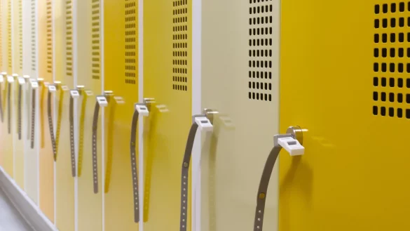 Ein hekler Fall beschäftigt bald das Amtsgericht Lemgo: Mehrere Frauen sollen in der Umkleide eines lippischen Sportvereins heimlich gefilmt worden sein. - © Pixabay