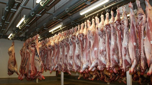Rinderh&auml;lften in einem Schlachthof. - &copy; Symbolbild: Pixabay