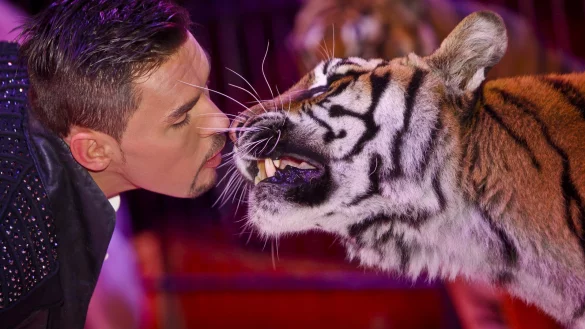 Bald wieder in Bielefelder Manegen: Der Zirkus Knie hat sich seinen Aufenthalt in Bielefeld per Gerichtsurteil erk&auml;mpft. - &copy; Peter-Michael Petsch/Zirkus Knie