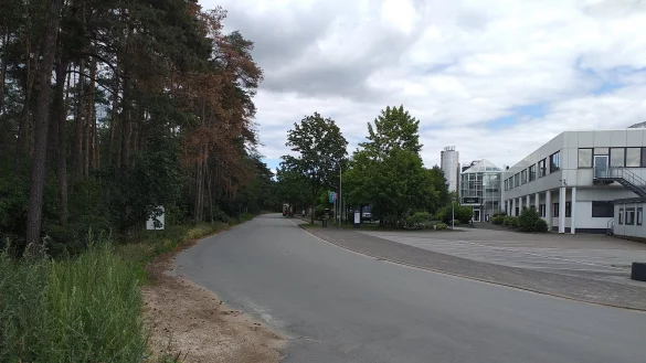 Die CDU Augustdorf ist der Meinung, dass es auf dem Nord-West-Ring an der Zufahrt zur Firma Freise gelegentlich zu gef&auml;hrlichen Situationen durch R&uuml;ckstau kommt. - &copy; cdu augustdorf