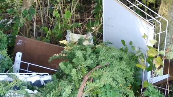 Wilde M&uuml;llentsorgung im Kalldorf. - &copy; CDU Kalldorf