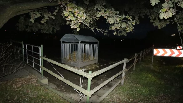 Die Stute Meli ist von einer Weide an der Herforder Stra&szlig;e verschwunden. - &copy; Angelina Kuhlmann