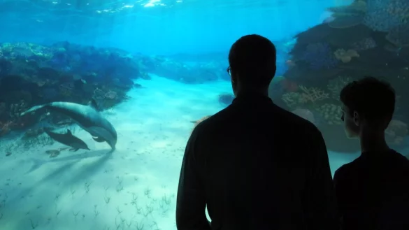 National Geographic Encounter - &copy; Foto: Johannes Schmitt-Tegge/dpa