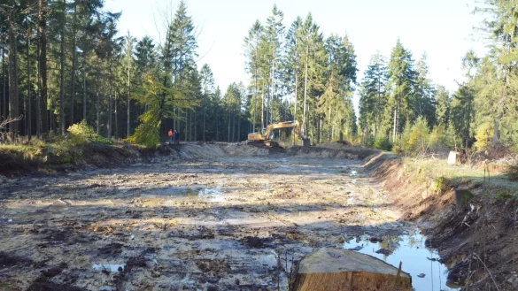 Seerosenteich: Immer wieder lief das Stehgew&auml;sser im Fauna-Flora-Habitat-Gebiet im Schwalenberger Wald leer. Eine umfangreiche Sanierung soll den besonderen Lebensraum sichern. - &copy; Tanja Watermann