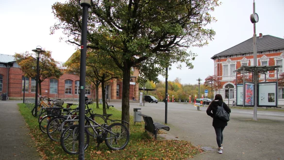 Streitobjekt: Die Fl&auml;che vor dem Bahnhof rund um den Gr&uuml;nstreifen k&ouml;nnte zum Europaplatz deklariert werden. Die CDU h&auml;lt sie f&uuml;r wenig attraktiv. - &copy; Katrin Kantelberg