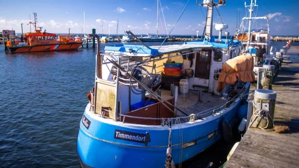 Ostseefischerei - &copy; Foto: Jens B&uuml;ttner/dpa-Zentralbild/dpa