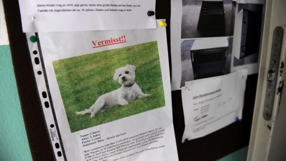 Aushang im Tierheim - &copy; Foto: Uwe Zucchi/dpa