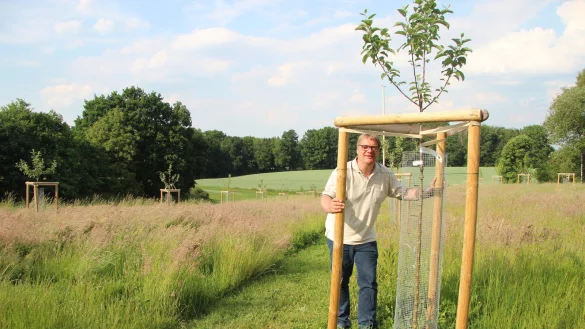 Uwe Marek hat 30 Obstb&auml;ume auf seiner Streuobstwiese gepflanzt. Er hofft, in sechs bis sieben Jahren die ersten Fr&uuml;chte der harten Arbeit ernten zu k&ouml;nnen. - &copy; Katrin Kantelberg(LZ)