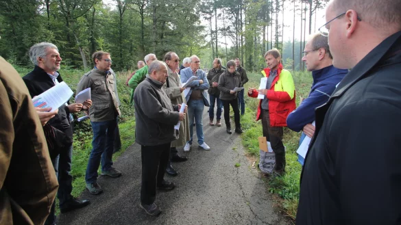 Waldexkursion zu den Versuchsfl&auml;chen auf dem Kirchberg zwischen Langenholzhausen und Varenholz. - &copy; Jens Rademacher