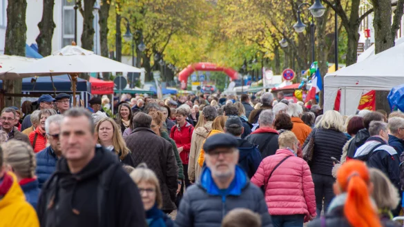 Viel los: Auch bei der 23. Auflage des Bad Meinberger Bauernmarktes herrscht vom Heinrich-Drake-Platz bis zum Brunnentempel dichtes Gedr&auml;nge. Besonders die Vielfalt an handgemachten und naturbelassenen Produkten begeistert die Besucher. - &copy; Raphael Bartling