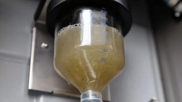 - &copy; Bernd W&uuml;stneck/dpa-Zentralbild/dpa