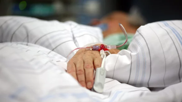 Borna-Virus - &copy; Foto: Kay Nietfeld/dpa