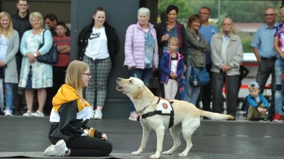 H&uuml;ndin Anouk hat Sindy gefunden und zeigt sie durch Bellen an. - &copy; Nicole Ellerbrake