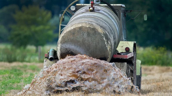 Die Qualität des Grundwassers hat sich in weiten Teilen NRWs deutlich verschlechtert. Rund 40 Prozent der Vorkommen sind so stark mit gesundheitsgefährdenden Nitraten belastet, dass dort kein Trinkwasser ohne Aufbereitung gewonnen werden könnte. - © Symbolfoto: DPA