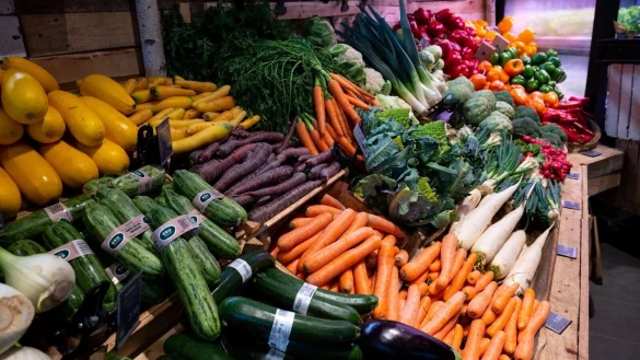 - &copy; Sven Hoppe/dpa