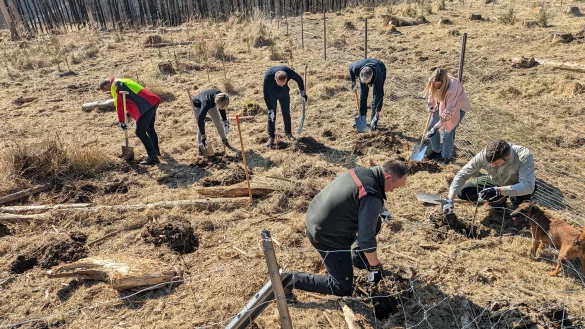 Verantwortliche des Landesverbandes und Vertreter der Wortmann-Gruppe pflanzen die gesponserten Setzlinge. - © Wortmann Gruppe