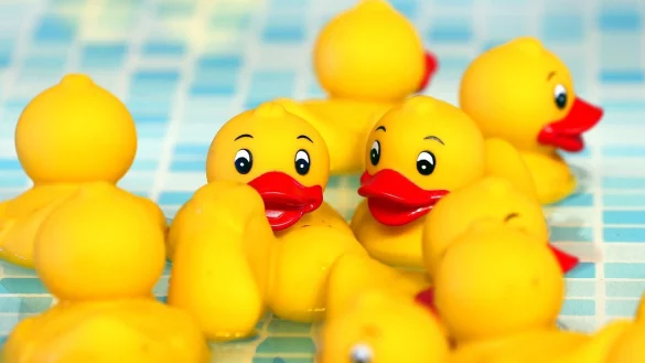 Quietscheenten - &copy; Foto: picture alliance/dpa/Symbolbild