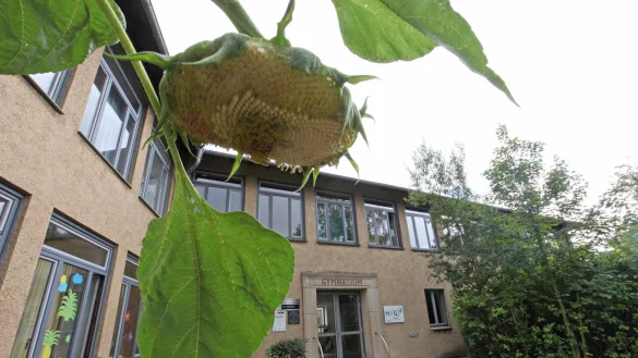 Das Blomberger Hermann-V&ouml;chting-Gymnasium ist erneut Ziel von Einbrechern geworden.&nbsp; - &copy; Archivfoto: Vera Gerstendorf-Welle