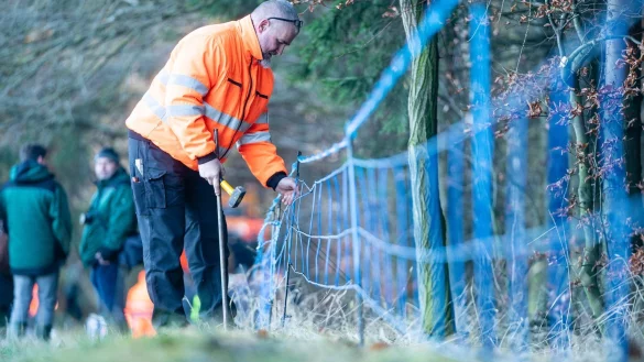 Elektrozaun - &copy; Foto: Ronald Bonss/dpa-Zentralbild/dpa