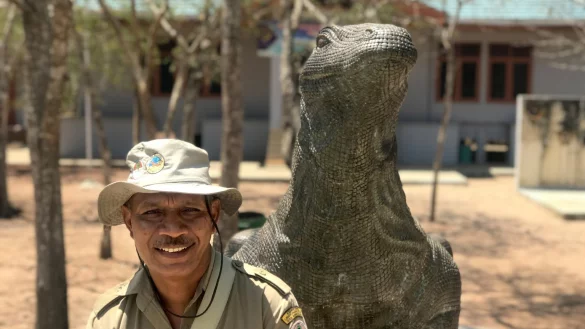 Insel Komodo - &copy; Foto: Christoph Sator/dpa