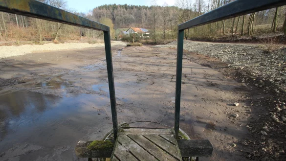 Entschlammt: Mit dem Projekt &bdquo;Tiere im Dorf 2.0" soll der Dorfteich am Schwelentruper Forsthaus besser erlebbar werden. - &copy; Jens Rademacher(LZ)