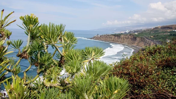 Teneriffa - &copy; Foto: Manuel Meyer/dpa-tmn