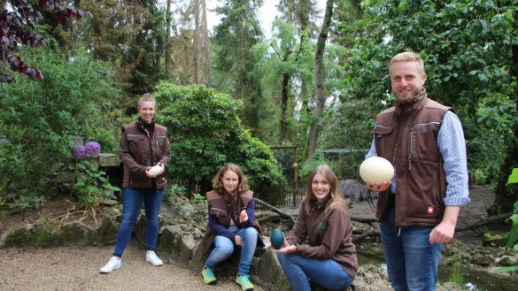 Die Biologinnen (von links) Denise D&ouml;rksen, Sarah Gol&uuml;ke und Chiara Rikken haben in Teamarbeit eine Zooschule aufgebaut. Vogelpark-Chef Marc-Philip Eckstein stellt das Material kostenlos im Internet zur Verf&uuml;gung &ndash; es ist ein Dankesch&ouml;n.&nbsp; - &copy; Astrid Sewing