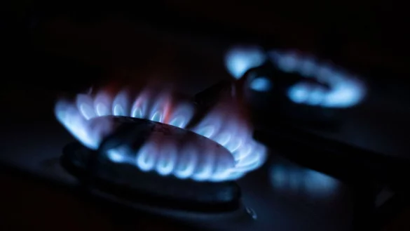 Gasherd - &copy; Foto: Marijan Murat/dpa