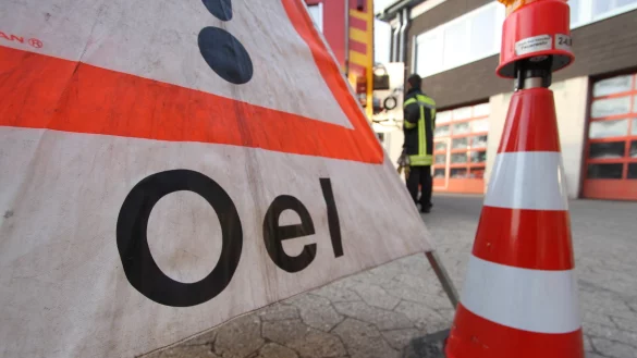 - &copy; Symbolfoto LZ