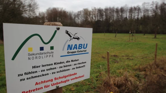 Der Extertaler Nabu will die Streuobstwiese an der Sekundarschule aufwerten. Daf&uuml;r stehen knapp 15.000 Euro bereit. - &copy; Jens Rademacher