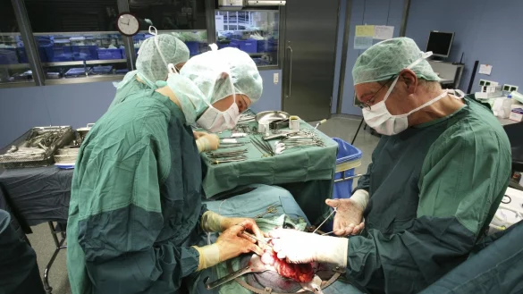 Verschobene Krebsoperationen: Mediziner bef&uuml;rchten ernste Folgen. - &copy; picture alliance